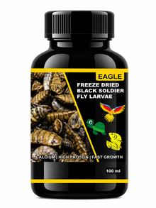 EAGLE FREEZE DRIED BLACK SOLDIER FLY LARVAE – HIGH PROTEIN & CALCIUM RICH NATURAL TREAT FOR BIRDS, FISH, TURTLES & REPTILES | 100 ML