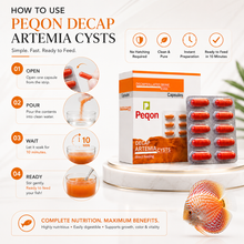 Decapsulated Artemia Cysts Capsules for Fish Fry & Shrimp Larvae