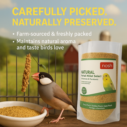 Nosh Foxtail Millet Select – 450g