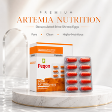 Decapsulated Artemia Cysts Capsules for Fish Fry & Shrimp Larvae