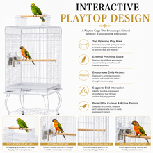 DAYANG A80 PREMIUM PLAYTOP PARROT CAGE FOR CONURES, AMAZONS & COCKATOOS – 53.5 × 53.5 × 133.5 CM