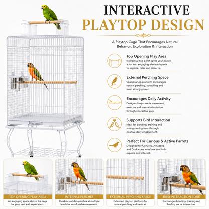 DAYANG A80 PREMIUM PLAYTOP PARROT CAGE FOR CONURES, AMAZONS & COCKATOOS – 53.5 × 53.5 × 133.5 CM