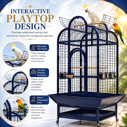 DAYANG A22 LUXURY PARROT RESIDENCE WITH PLAYTOP ACTIVITY CENTER – 79.5 × 79.5 × 164 CM