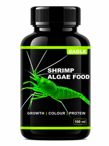 EAGLE SHRIMP ALGAE FOOD – PREMIUM ALGAE-BASED NUTRITION FOR AQUARIUM SHRIMP | SUPPORTS GROWTH, COLOR ENHANCEMENT & HEALTHY MOLTING | HIGH PROTEIN FORMULA | 100 ML