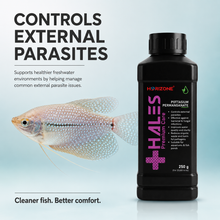 HALES POTASSIUM PERMANGANATE 250gm