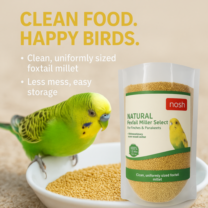 Nosh Foxtail Millet Select – 450g