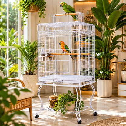 DAYANG A80 PREMIUM PLAYTOP PARROT CAGE FOR CONURES, AMAZONS & COCKATOOS – 53.5 × 53.5 × 133.5 CM