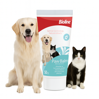 Paw care cream for dogs and cats 50ml