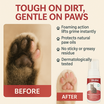 Paw cleaning foam for cat 100ml